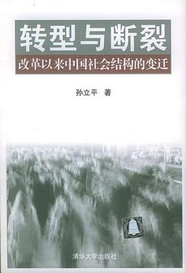 转型与断裂 封面