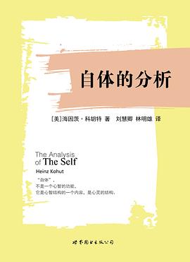 自体的分析 封面