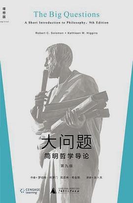 大问题 封面