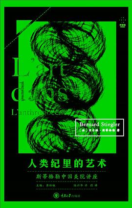 人类纪里的艺术：斯蒂格勒中国美院讲座 封面