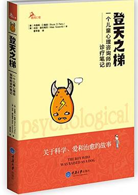 登天之梯 封面