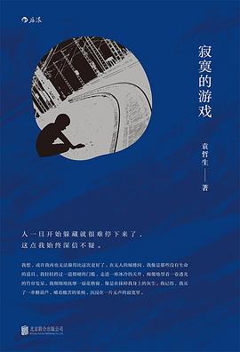 寂寞的游戏 封面