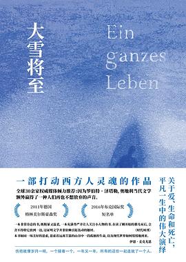 大雪将至 封面