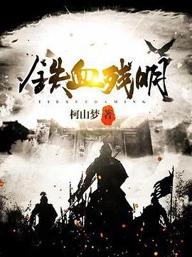 铁血残明 封面