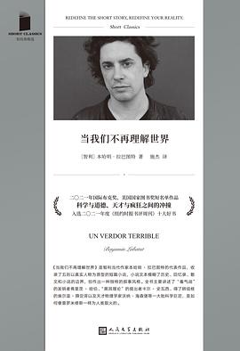 当我们不再理解世界 封面