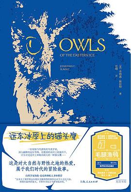 远东冰原上的猫头鹰 封面