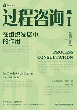过程咨询Ⅰ 封面