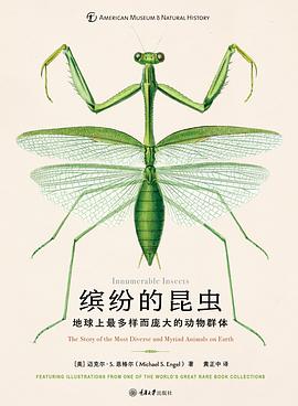 缤纷的昆虫 封面