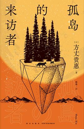 孤岛的来访者 封面