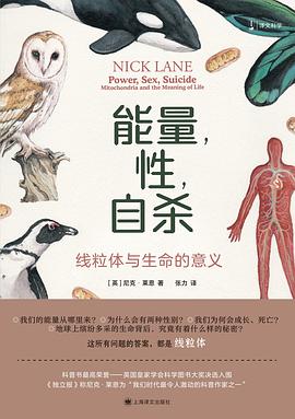 能量，性，自杀 封面