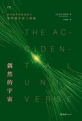 偶然的宇宙 封面