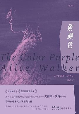 紫颜色 封面