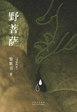 野菩萨 封面