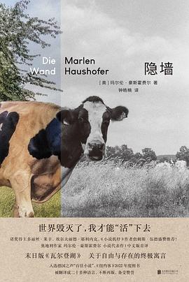 隐墙 封面