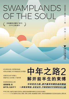 中年之路2 封面