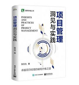 项目管理洞见与实践 封面