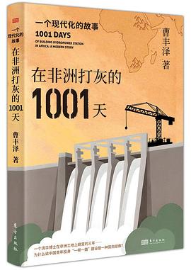 在非洲打灰的1001天：一个现代化的故事 封面