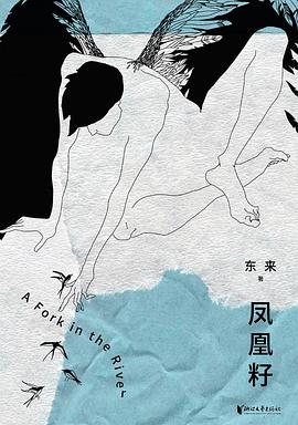 凤凰籽 封面