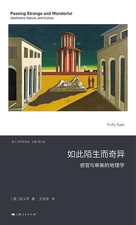 如此陌生而奇异 封面