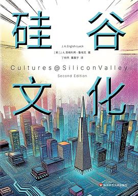硅谷文化 封面