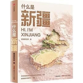 什么是新疆 封面