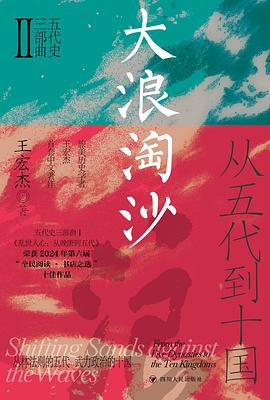 大浪淘沙 封面