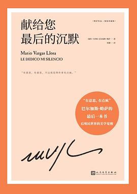 献给您最后的沉默 封面