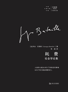 耗费 封面