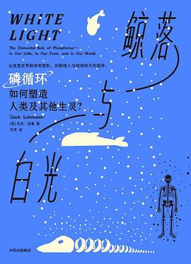 鲸落与白光 封面