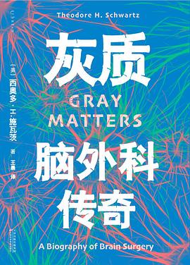 灰质 封面
