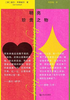 明亮珍贵之物 封面