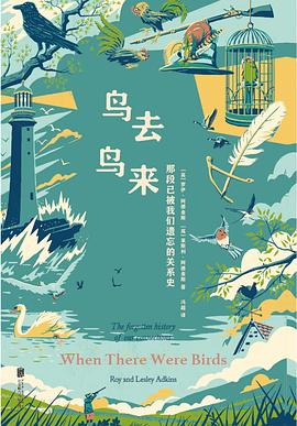 鸟去鸟来 封面
