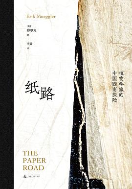 纸路 封面