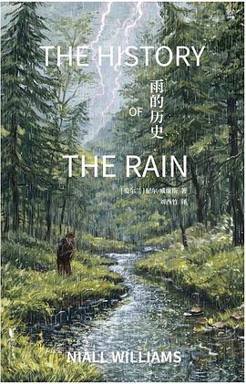 雨的历史 封面