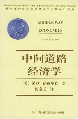 中间道路经济学 封面