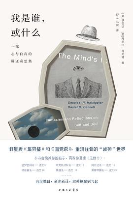 我是谁，或什么 封面