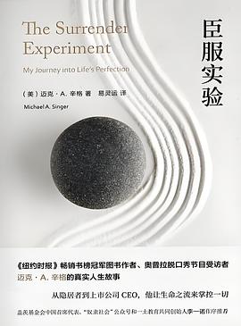 臣服实验 封面