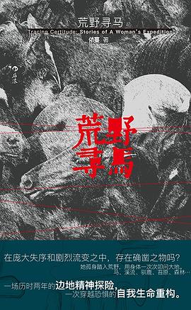 荒野寻马 封面