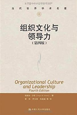 组织文化与领导力 封面