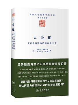 大分化 封面