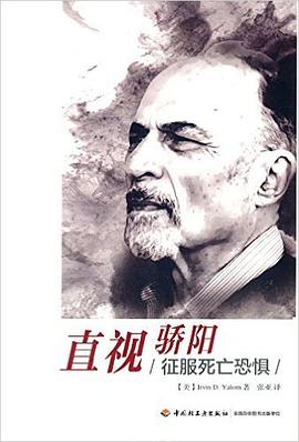 直视骄阳 封面