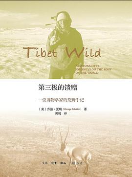 第三极的馈赠 封面