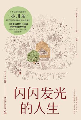闪闪发光的人生 封面
