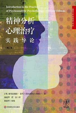 精神分析心理治疗实践导论 封面