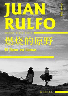 燃烧的原野 封面
