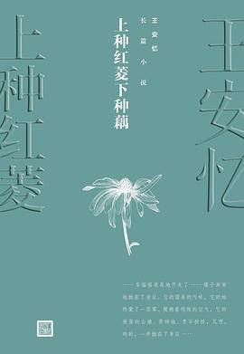 上种红菱下种藕 封面