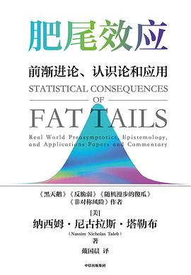 肥尾效应 封面