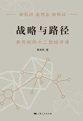 战略与路径 封面