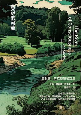 意识的河流 封面