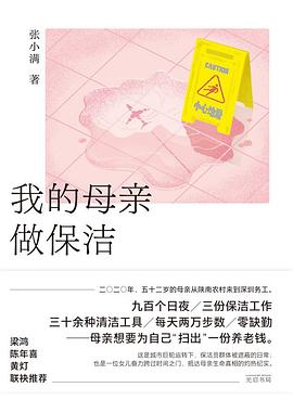 我的母亲做保洁 封面